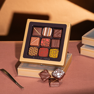 9入手工巧克力禮盒